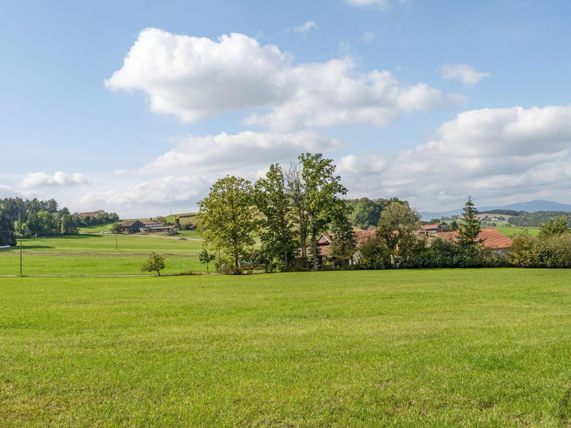 Apartment On A Farm Near The Ski Area Neukirchen beim Heiligen Blut Exteriör bild